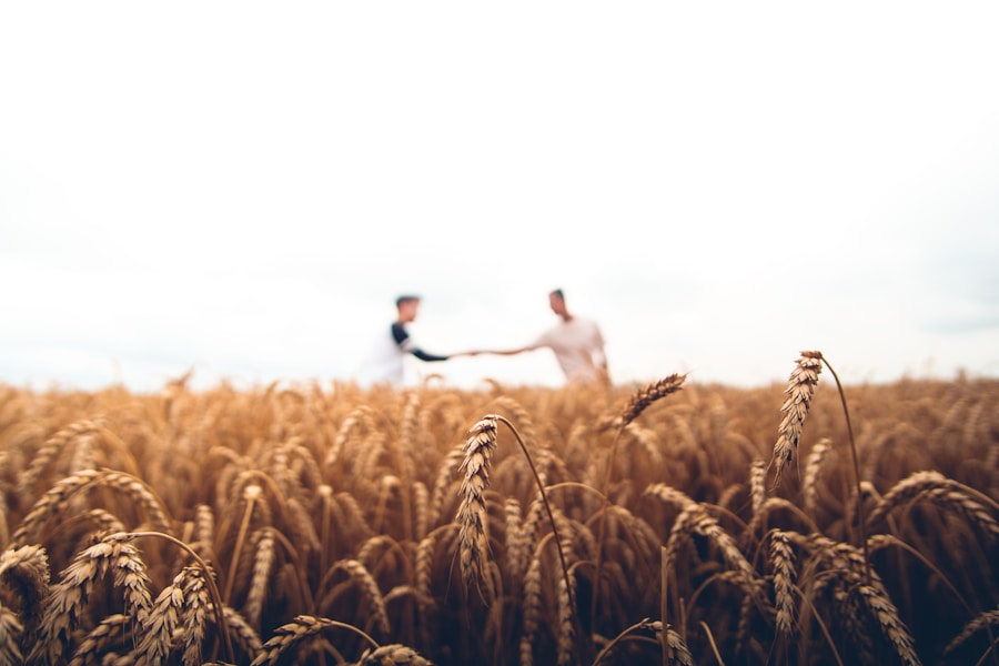 Agro Commodities